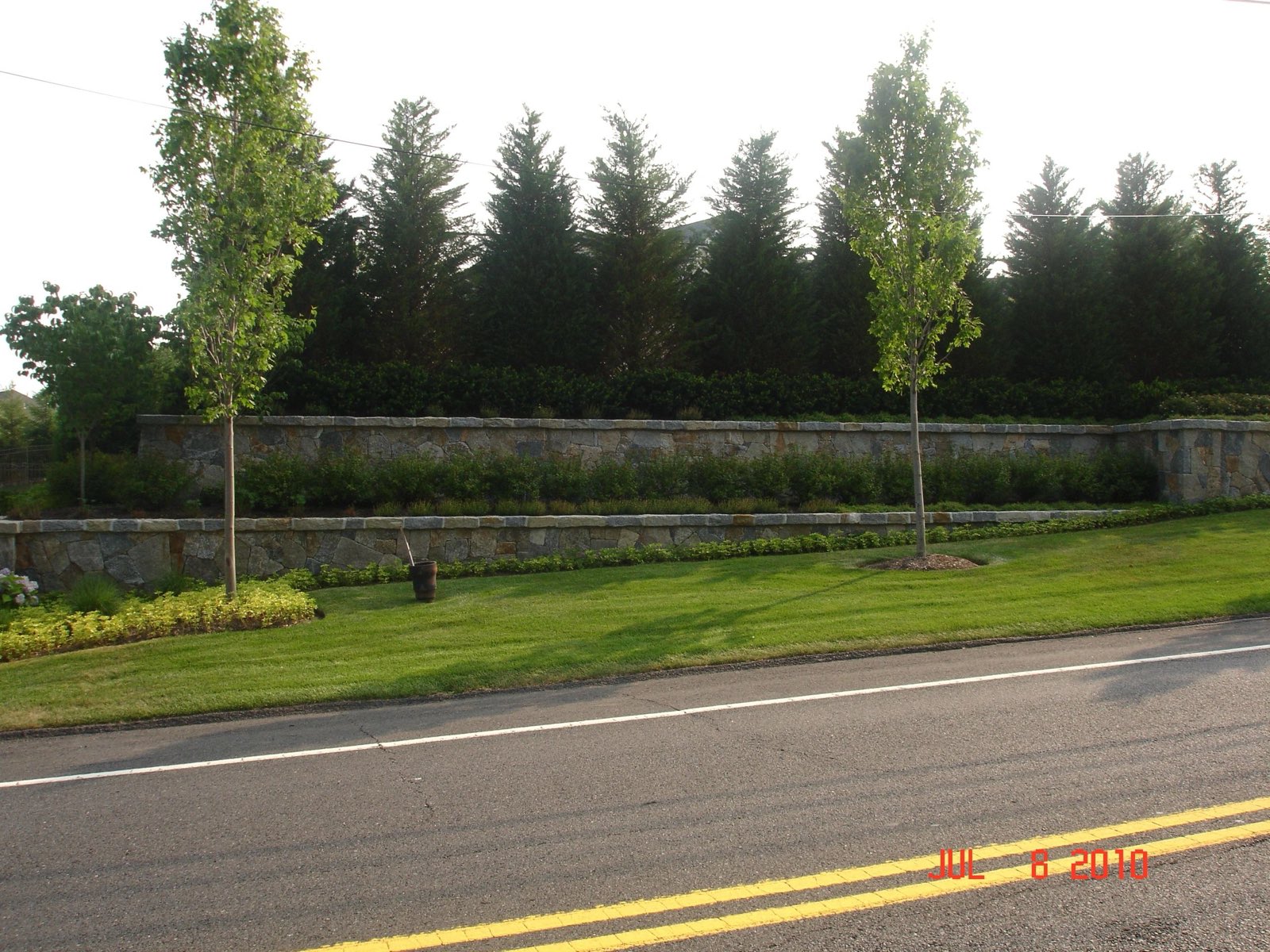 Long tiered roadside stone retaining wall with an evergreen privacy screen